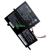 Batteria di ricambio per PDA 10Buckles-7Lines AEC4573100-3S1P