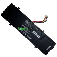 Batteria di ricambio per PDA 10Buckles-8Lines 4873276P