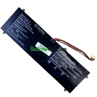 Batteria di ricambio per PDA 10Buckles-9Lines 4674118-2S