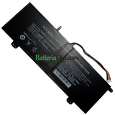 Batteria di ricambio per PDA 11Buckles-10Lines AEC4584129-2S1P-N