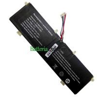 Batteria di ricambio per PDA 11Buckles-9Lines NV-4663117-2S