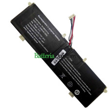 Batteria di ricambio per PDA 11Buckles-9Lines NV-4663117-2S