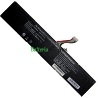 Batteria di ricambio per PDA 12 linee AEC857953-2S2P