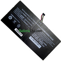 Batteria di ricambio per PDA 8Lines AEC3058115-2S2P