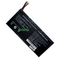 Batteria di ricambio per PDA AEC7591113-3S1P