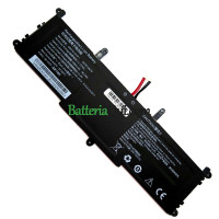 Batteria di ricambio per PDA CWI570