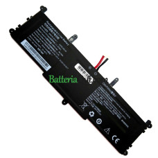 Batteria di ricambio per PDA CWI570