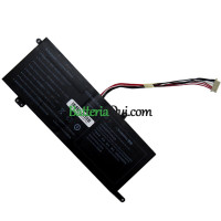 Batteria di ricambio per PDA NI10054-476992-2S1P