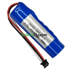 Batteria di ricambio per PLC 26503-001