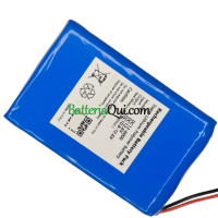 Batteria di ricambio per PLC DC12-6000