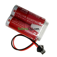 Batteria di ricambio per PLC ER17/50 50750-1018 MD500N ER1750 Spina SM
