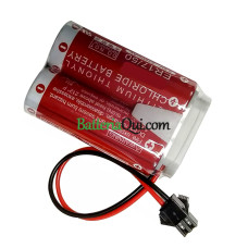Batteria di ricambio per PLC ER17/50 50750-1018 MD500N ER1750 Spina SM