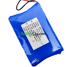 Batteria di ricambio per PLC TY18650-3S2P