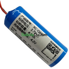 Batteria di ricambio per PLC XC-Q661