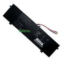Batteria sostitutiva per PDA 10Buckles-7Lines U4372121PV-2S1P