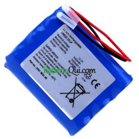 Batteria sostitutiva per PLC 18650-3S1P 2447-3031-20