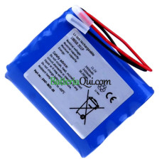 Batteria sostitutiva per PLC 18650-3S1P 2447-3031-20