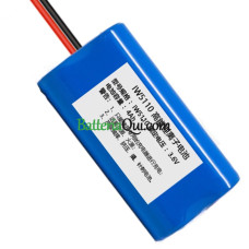 Batteria sostitutiva per PLC IW5110