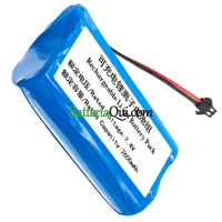 Batteria sostitutiva per PLC ZHS-01