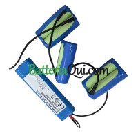 Batteria di ricambio per PLC 4055132304-2 AEG-AG901