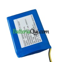Batteria di ricambio per PLC GSP585771 DS-PW1