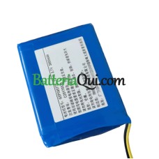 Batteria di ricambio per PLC GSP585771 DS-PW1