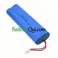 Batteria di ricambio per PLC XCH-D2