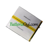 Batteria di ricambio per REC 3163144