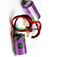 Batteria sostitutiva per PLC 3.6V DVP-32EH DVPABT01 ER14250