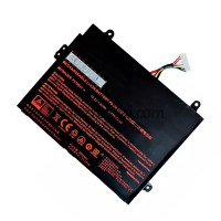 Batteria di ricambio per Clevo P970BAT-4