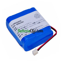 Batteria sostitutiva per Panasonic P-10S/F24G2 National